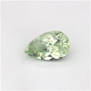 Stone BGSPEP0253
